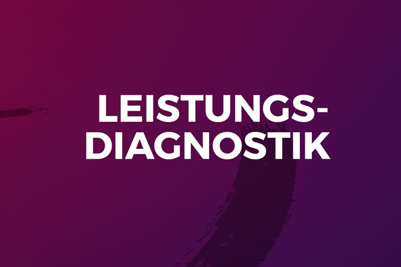 leistungsdiagnostik